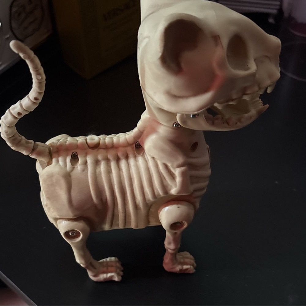 Skeleton Cat Figurine